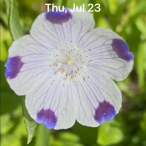 Meet your Posher, Michael